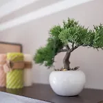 Ivana 2435